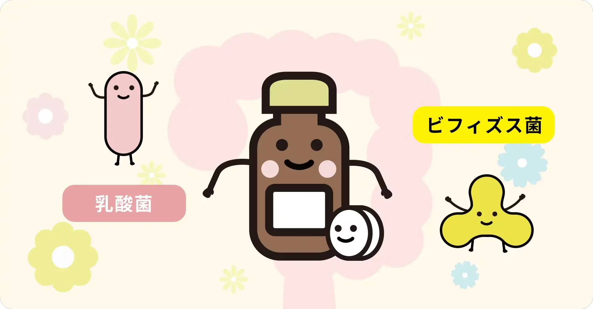 【腸活の基本】整腸剤の選び方と成分の違い｜おすすめの使い方を解説 | ちょこぶらblog